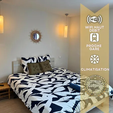 L'essentiel - Gare - Climatisation - Proche Du Centre Apartment Lourdes